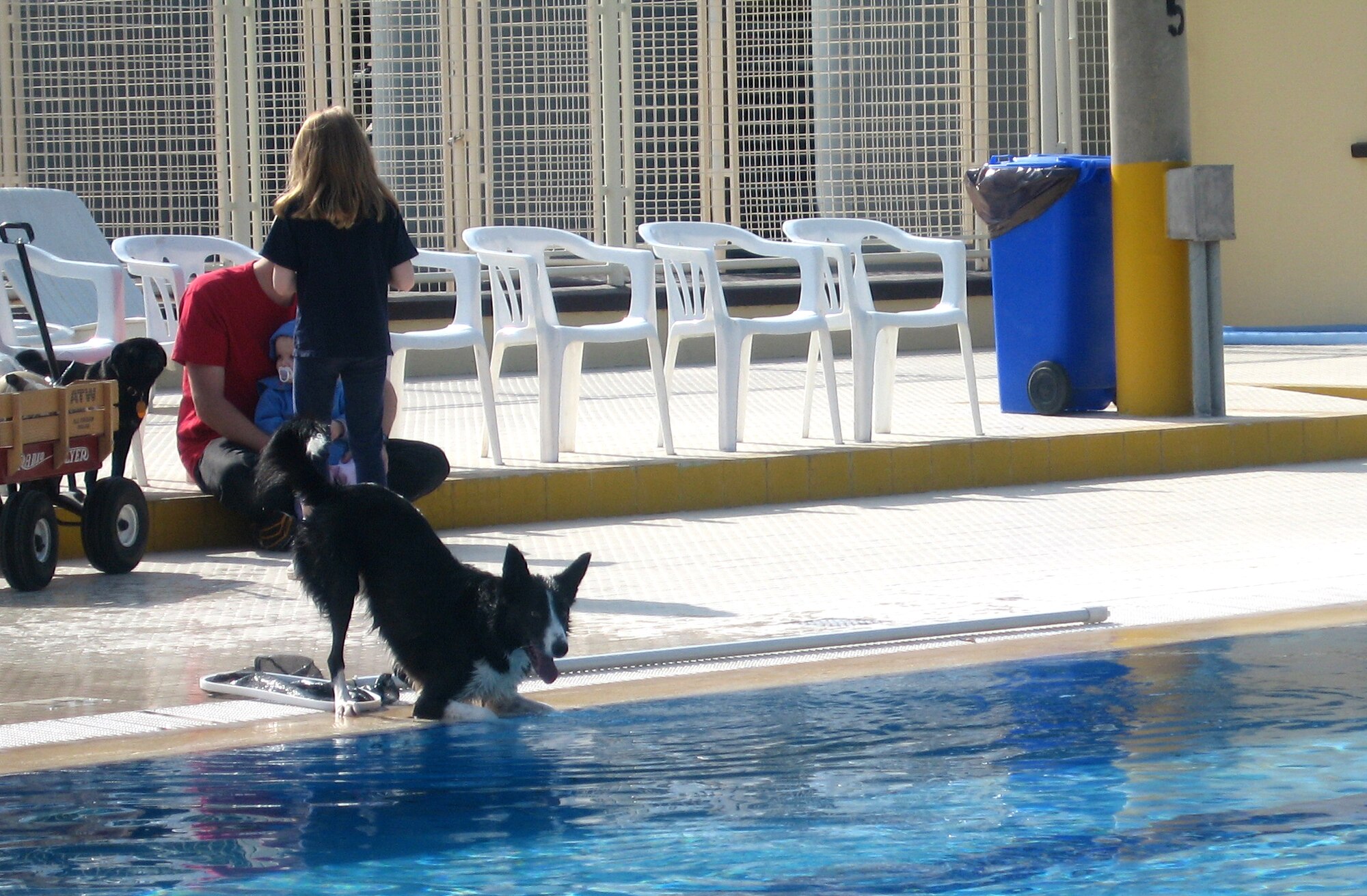 Brandy contemplates jumping into the base swimming pool after a tennis ball, early Feb. 17, during the annual Dog Day at the pool. Base members were encouraged to bring their four-legged friends to the pool for a little dip. (U.S. Air Force Photo by Senior Airman Patrice Clarke)
