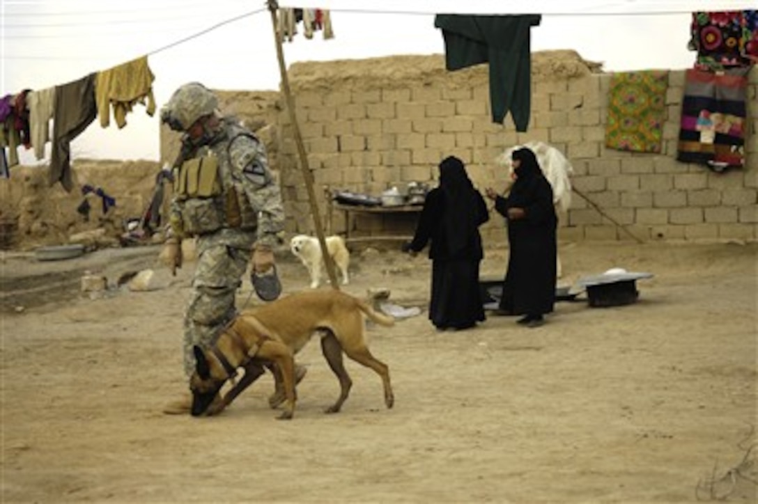 U.S. Air Force Tech. Sgt. Harvey Holt and his military working dog Jackson search for weapons caches in Kahn Bani Sahd, Iraq, on Feb. 13, 2007.  Holt, attached to the 732nd Expeditionary Security Forces Squadron, is patrolling with U.S. Army soldiers from the 1st Cavalry Division.  