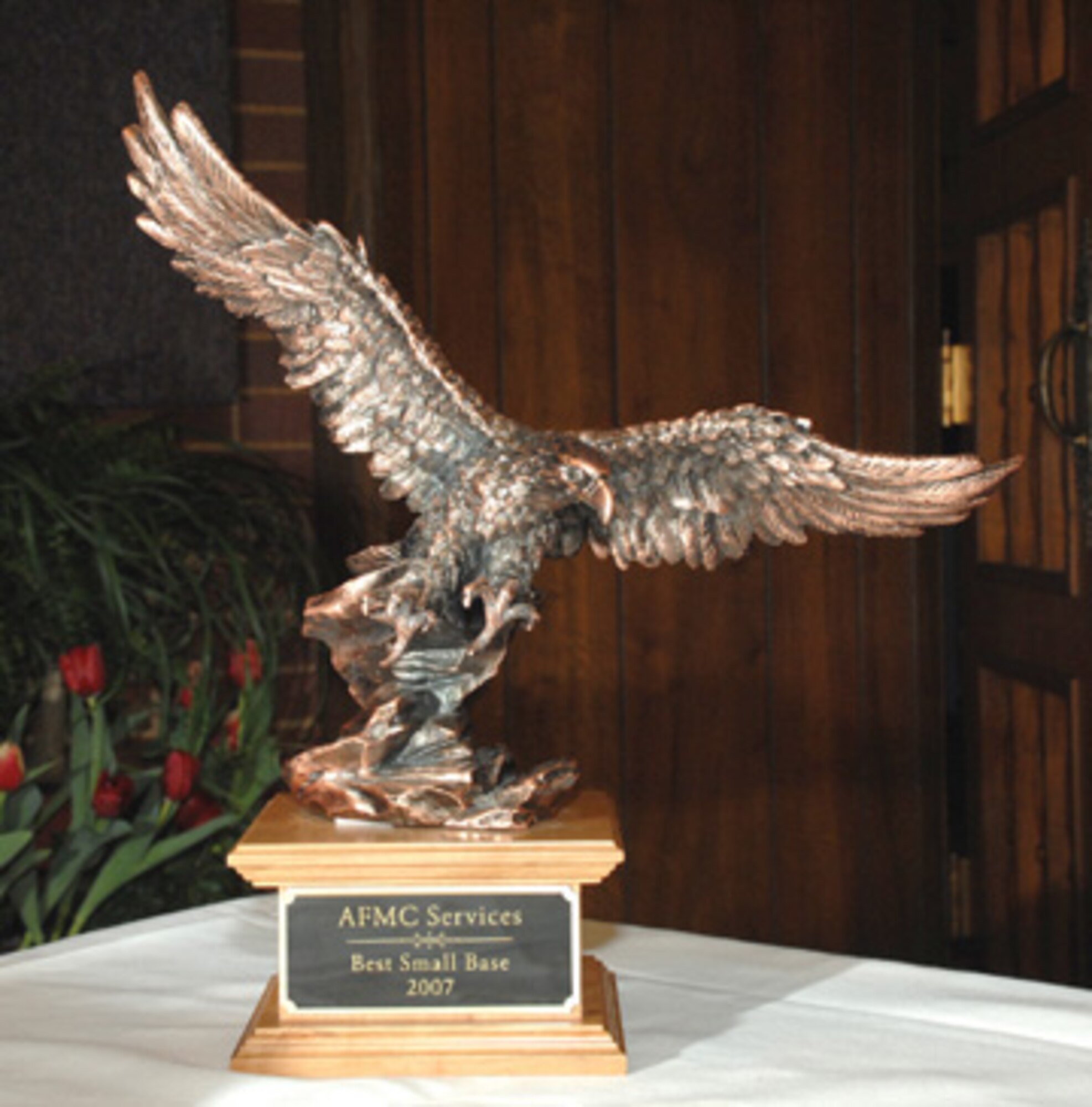 The 2007 AFMC Services best small base award.