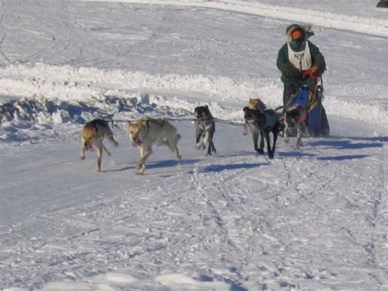 EIELSON AIR FORCE BASE, Alaska--A musher and his dog sled team race past a checkpoint Feb. 24 during the Yukon Quest. The Yukon Quest is a 1,000-mile international sled dog race held annually in Alaska. Mushers race through territory from Whitehorse to Fairbanks. (U.S. Air Force photo by Master Sgt. Robert Wieland)