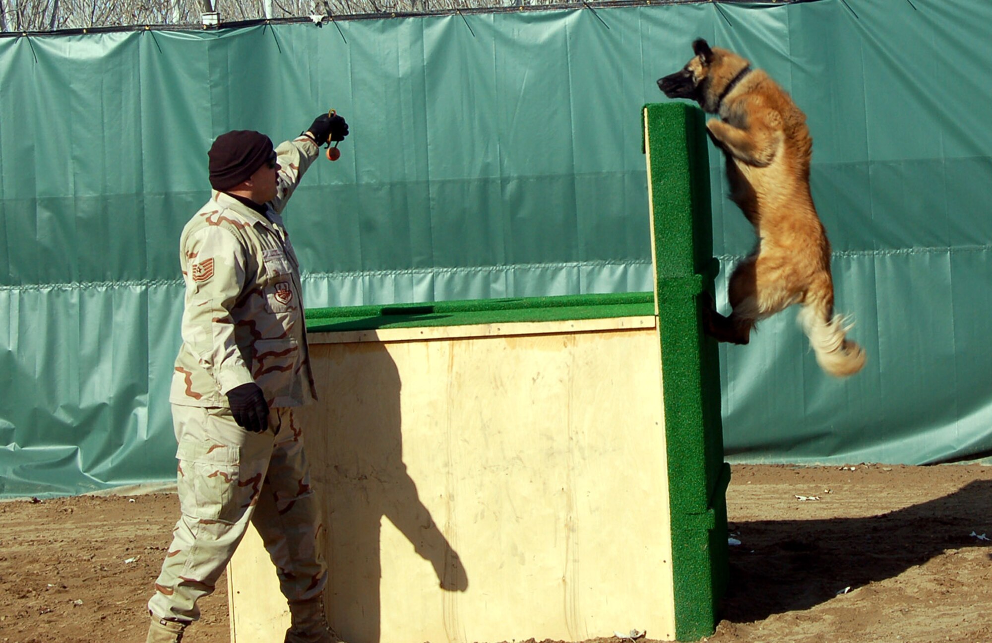 Tech. Sgt. Mark Lotre holds up a ball as part of a game to train K-9 Valya to jump over a barrier Feb. 20 at Manas Air Base, Kyrgyzstan. The 376th Expeditionary Security Forces Squadron here works with the Kyrgyz republic K-9 program to help train dogs and their handlers. Sergeant Lotre is deployed from the 9th Security Forces Squadron at Beale Air Force Base, Calif. (U.S. Air Force photo/Capt. Tim Wade)