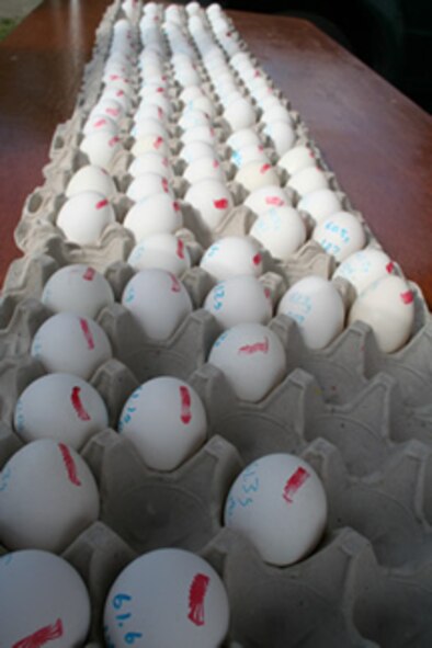 Hen eggs played an integral part of the Team America Rocketry Challenge May 20 at Team America Rocketry Challenge, The Plains, Va. ( U.S. Air Force Photo by Erin Crawley)