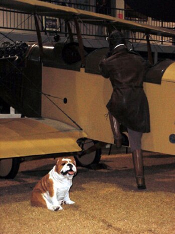Military Mascots
