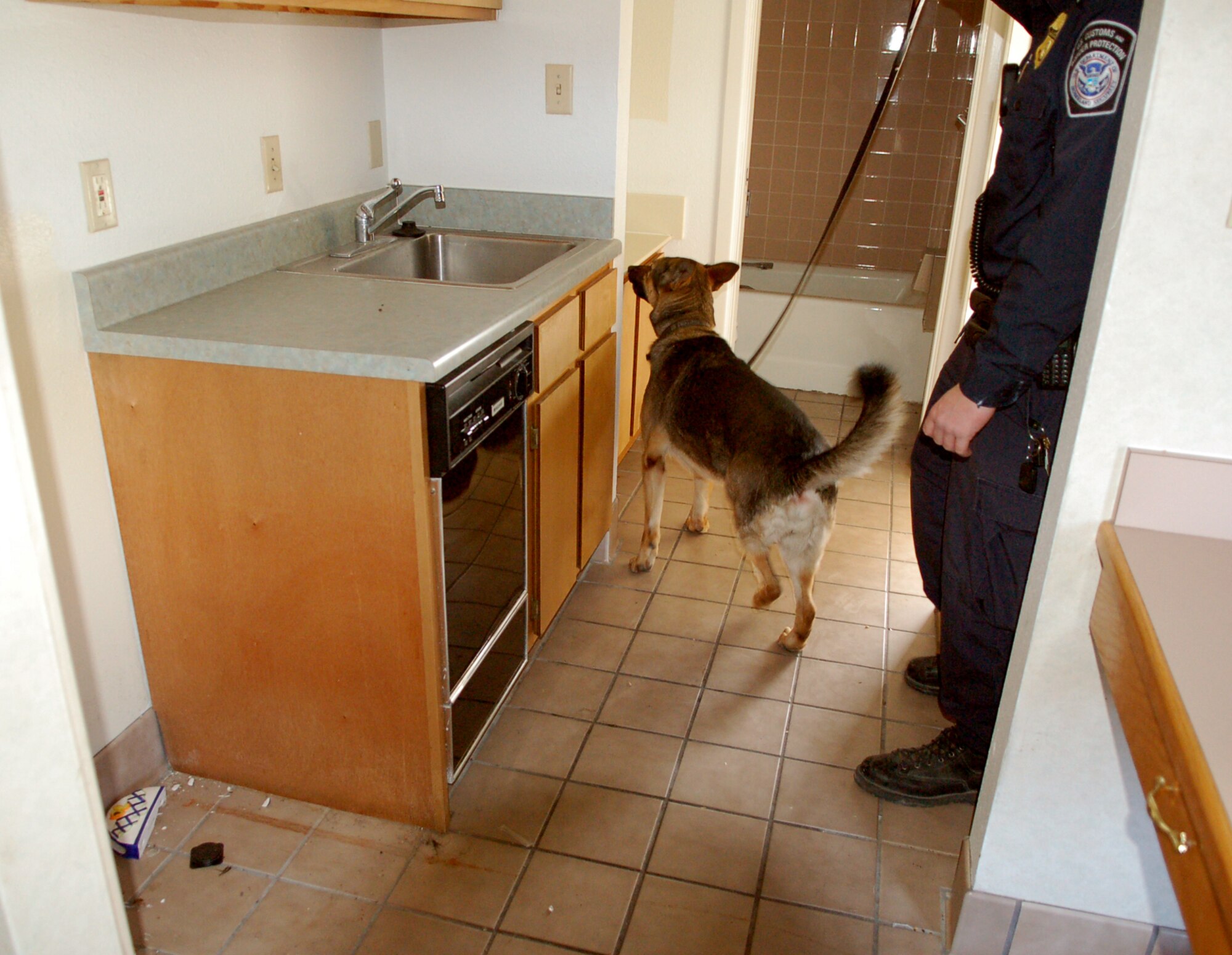 LAUGHLIN AIR FORCE BASE, Texas -- A drug-sniffing dog from Border Protection and Customs sniffs its way through an abandoned temporary lodging facility on Laughlin during a training exercise Jan. 9.  The facilities, which are scheduled for demolition, provide a valuable training aid where the dogs can aggressively scratch and bit at areas where they think drugs may be hidden without their trainers worrying about damages they may cause.  (U.S. Air Force photo by Staff Sgt. Austin M. May)
