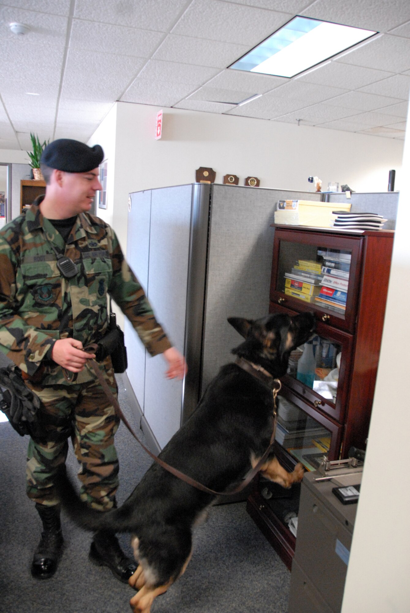 Staff Sgt. Terrance Root, 66th Security Force Squadron dog handler, and his Military Working Dog partner, Vero, perform a random search of building 1305. Sergeant Root and Vero perform random searches throughout the base as part of their patrol duties to deter crime. (US Air Force Photo by A1C Clinton Atkins)