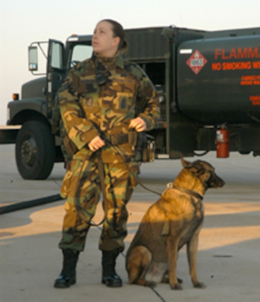 KUNSAN AIR BASE, Republic of Korea Jan. 10, 2007 -- Staff Sgt. Jessica Shoemaker, 8th Security Forces Squadron military working dog handler, keeps a watchful eye in one direction as her partner "Steffi" looks on in the other. The pair were assigned to security detail as deploying Holloman Airmen departed their transport. The Airmen are deployed to Kunsan in support of force posture adjustments in the Western Pacific region. (Air Force photo by Senior Airman Stephen Collier)