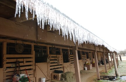 Ice at the Horse stables                              
