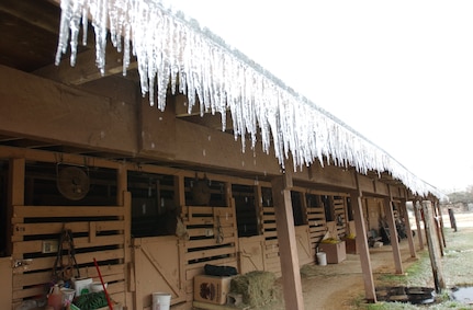 Ice at the Horse stables                              