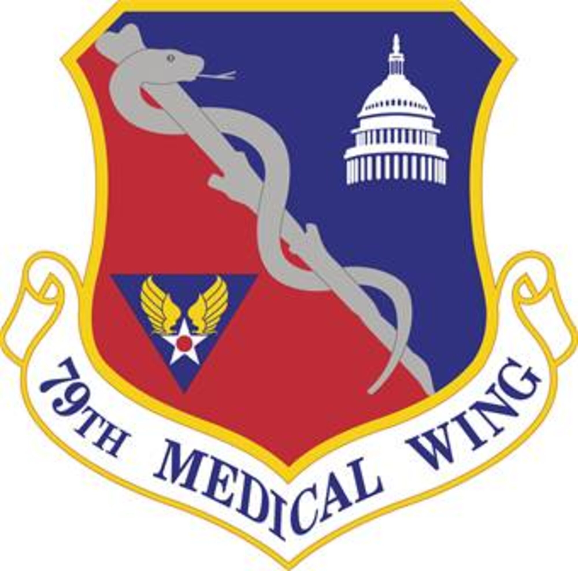 79th Medical Wing Patch