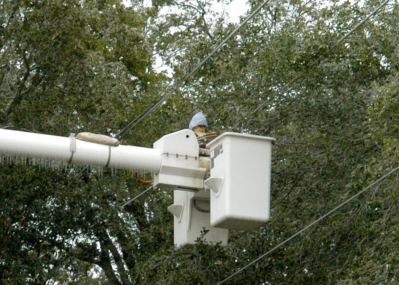 Guadalupe Montana, a 37th Civil Engineer Squadron exterior foreman, stretches from a lift bucket to cut an ice-laden tree limb responsible for a two-hour power outage starting around 10 a.m. Jan. 17 on the southern training side of Lackland Air Force Base,Texas. Mr. Montana said the limb, near Bldg. 5570 on Selfridge Avenue between Hughes and Walker Avenues, pushed a primary power line into another line, causing a "big ball of fire" before the short tripped a circuit breaker. The winter storm resulted in the base being closed for Jan. 16 and 17. (USAF photo by Alan Boedeker)                                