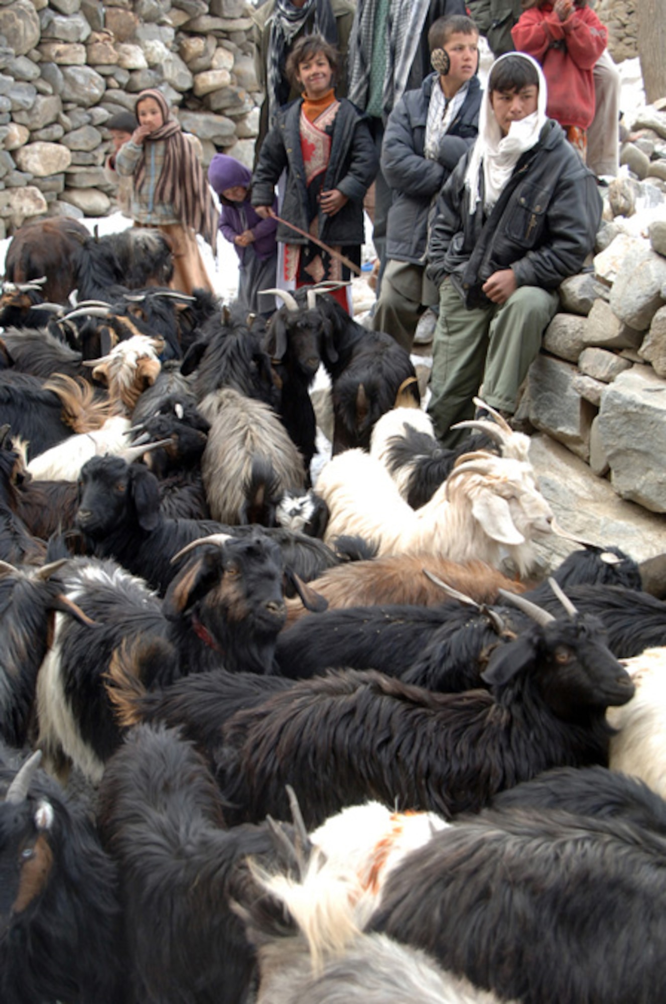 Locals living in Panjshir, Afghanistan, bring their animals to the Afghan National Police station during a veterinary assistance mission, conducted by members of Combined Joint Task Force 76 on January 15, 2007. (U.S. Army photo/Army Staff Sgt. Marcus J. Quarterman)