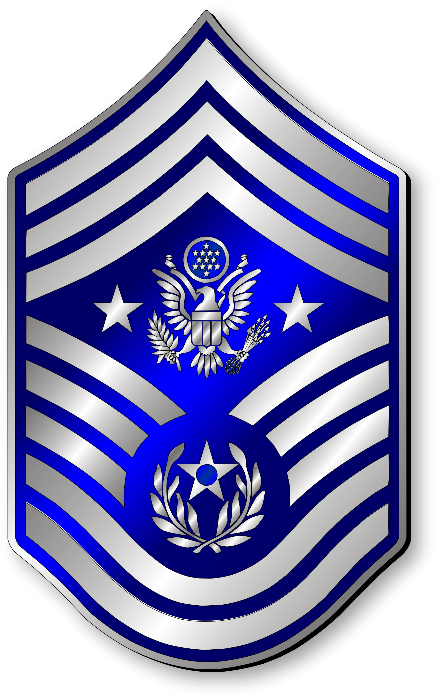 Chief Master Sergeant Of The Air Force Insignia Airforce Military