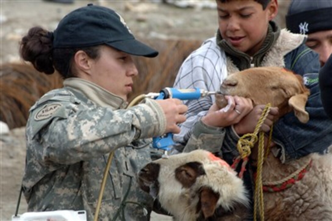 U.S. Army 1st Lt. Sarah Rosnick (left) gives deworming medicine to a goat during a veterinary assistance mission in Panjshir, Afghanistan, on Jan. 16, 2007. Rosnick is assigned to the Panjshir Provincial Reconstruction Team.  