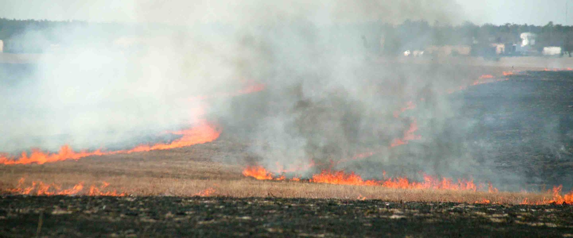The controlled fire meets in the center. Once the fire collides, it extinguishes itself. This prescribed fire was conducted Jan. 12 on the Poinsett Electronic Combat Range as a way to prevent future wildfires.  (U.S. Air Force photo/Senior Airman John Gordinier)