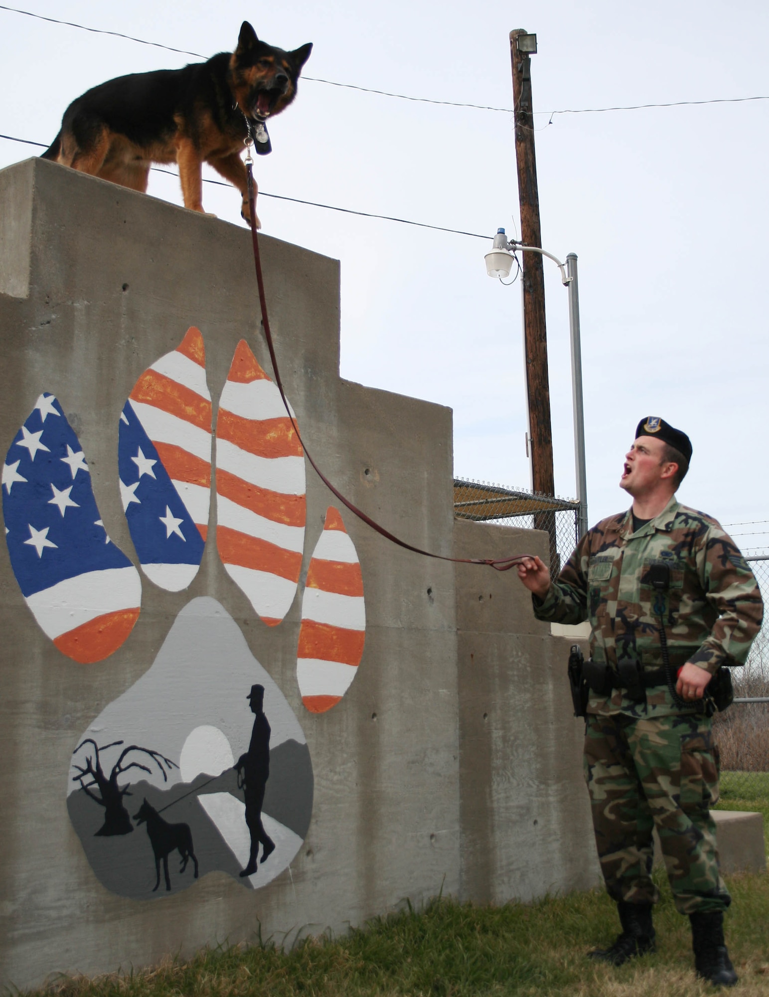 Staff Sgt. Thomas Butler, 82nd Security Forces Squadron, instructs his military working dog Murdog to sit during a training session Jan. 24. (U.S. Air Force photo/Adrian McCandless.)