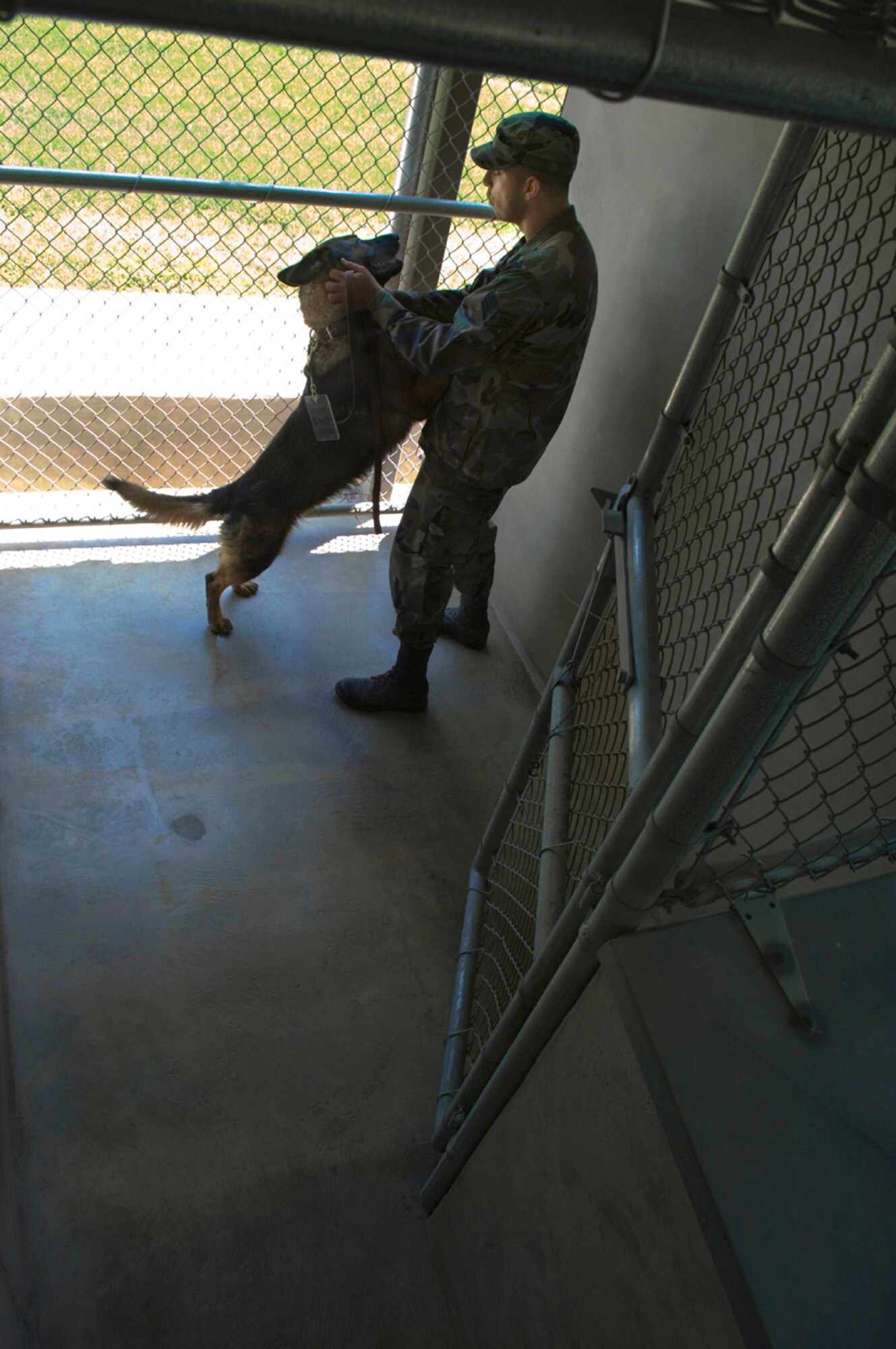 After a hard day of training, Staff Sgt. Alexander cares for a dog after returning him to his kennel. (photo by Tech. Sgt. Matthew Hannen)