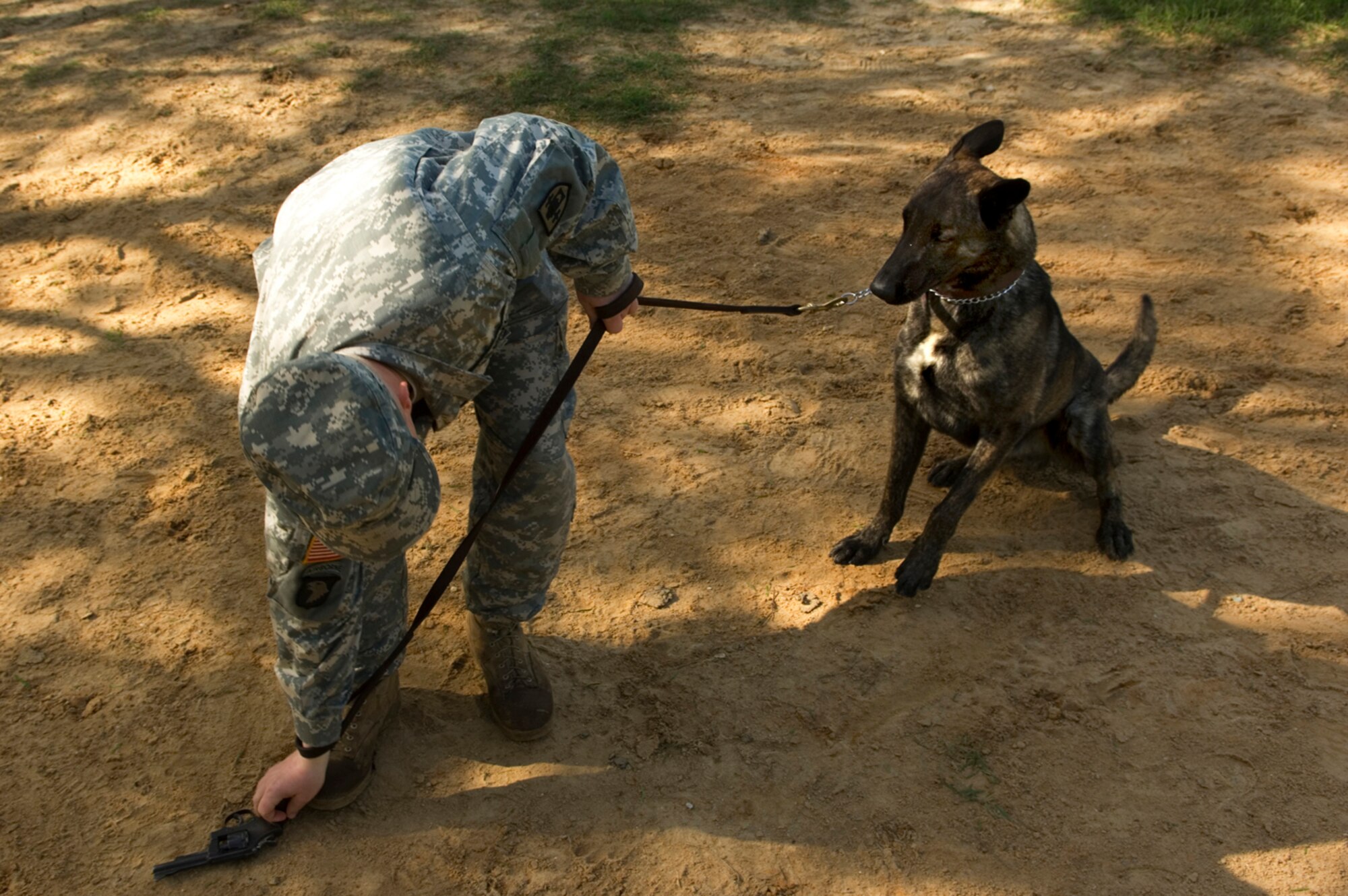 dog handler student Army Sgt. "Stoney" Stone, fires a pistol, then lays it down so the dog can sniff it. Getting military working dogs used to the sound of gunfire is part of their training. (photo by Tech. Sgt. Matthew Hannen)