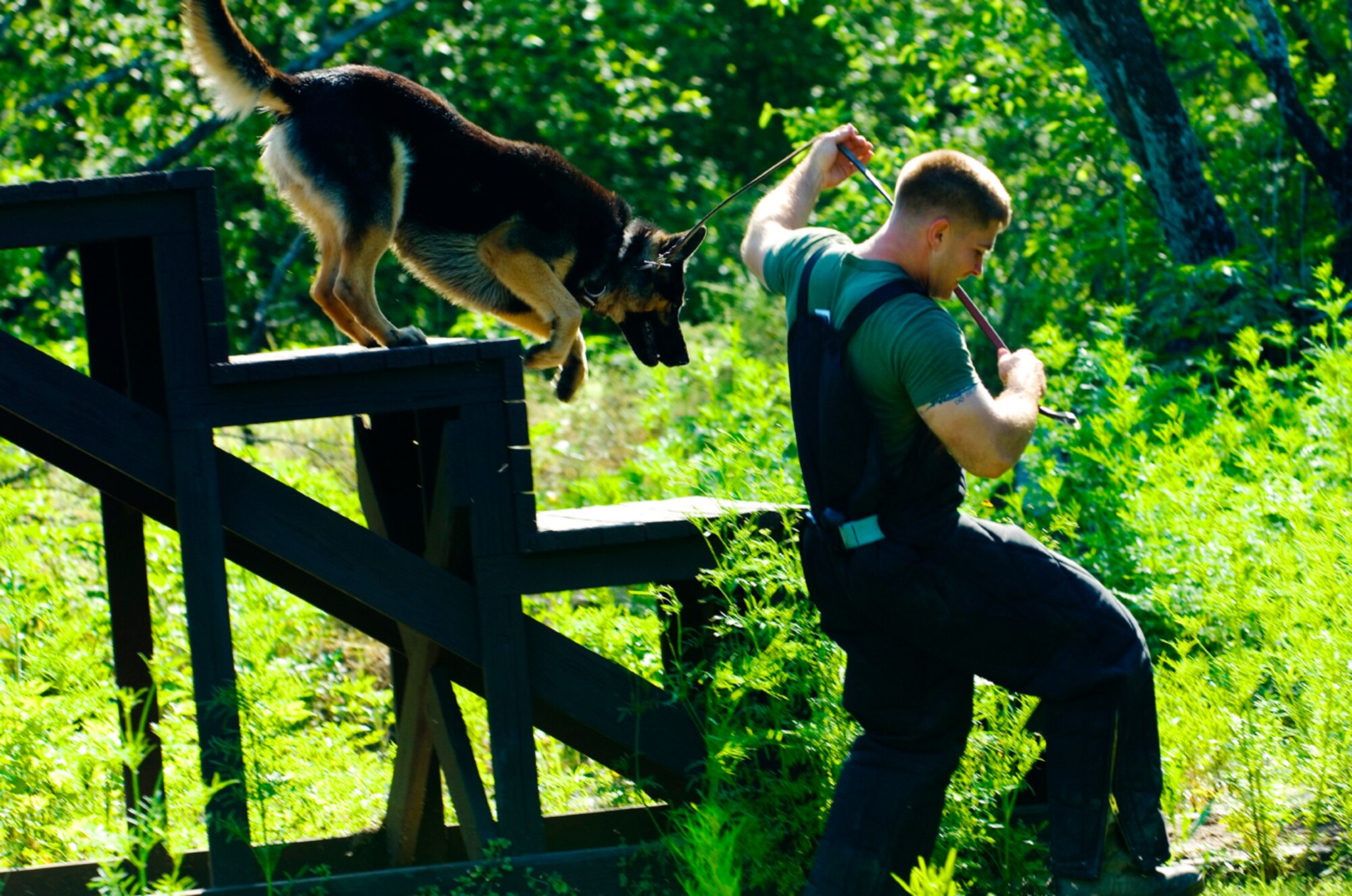 Taking a dog through an obstacle course, Marine Sgt. Jason Law performs a crucial part of its discipline training. (photo by Tech. Sgt. Matthew Hannen)