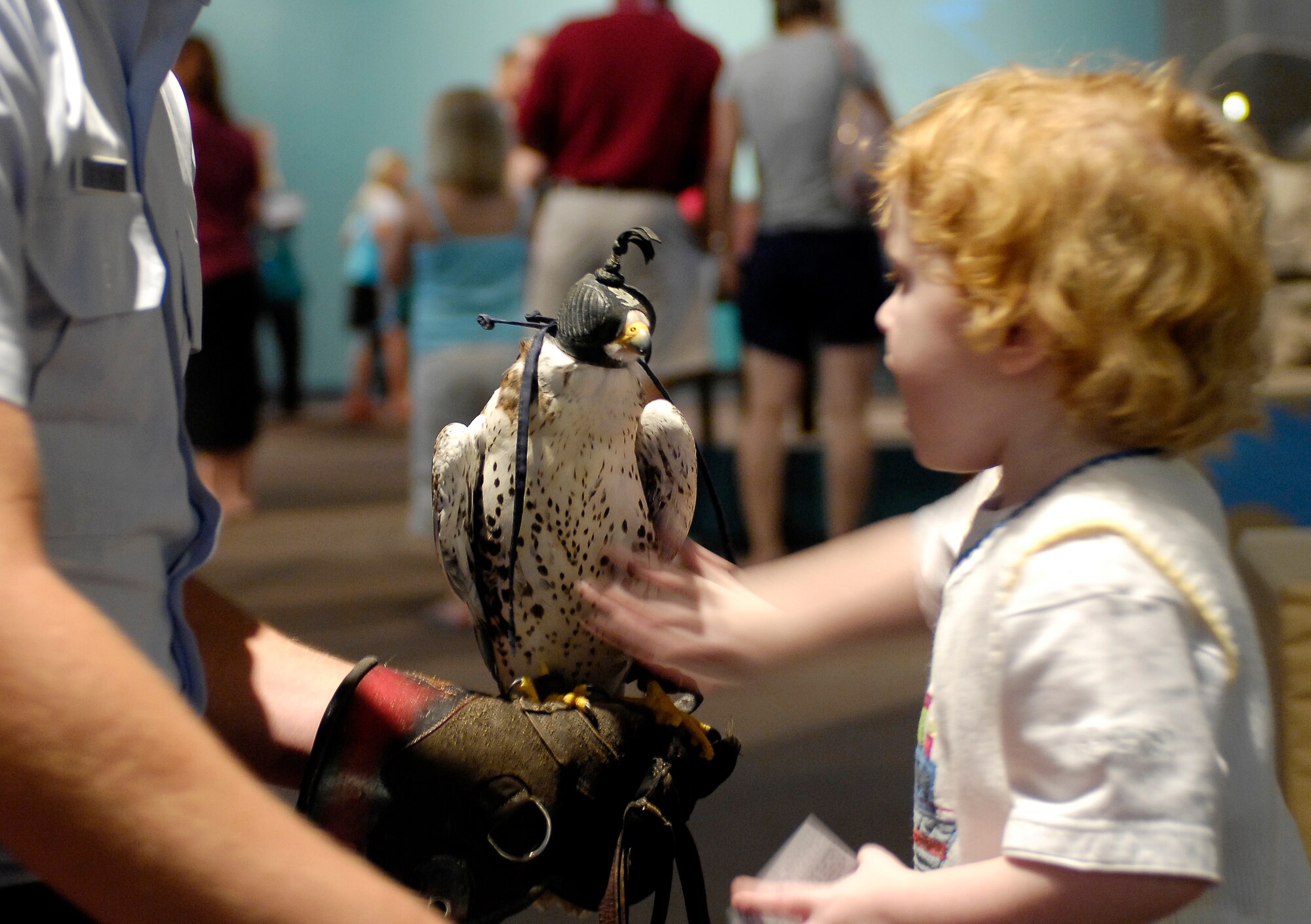 Air Force Academy Cadet 1st Class Danny Samson holds Cody, one of the Academy's falcon mascots, while 2-year-old Landon Lewis pets his chest July 2 at the Saint Louis Science Center. The falcon made an appearance as part of Air Force Week being celebrated in St. Louis, this week. The center is featuring Air Force displays throughout the week, informing the public about the Air Force mission. (U.S. Air Force photo/Staff Sgt. Brian Ferguson)
