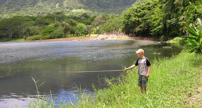 HO'OMALUHIA PARK, KANEOHE, Hawaii -- Joseph Haines fishes during the Keiki Fishing Tournament held by Friends of Hickam June 2007. This year's tournament will be held June 10. See "Hickam Featured Links" for more information and application/registration forms. (U.S. Air Force photo by Staff Sgt. Erin Smith)