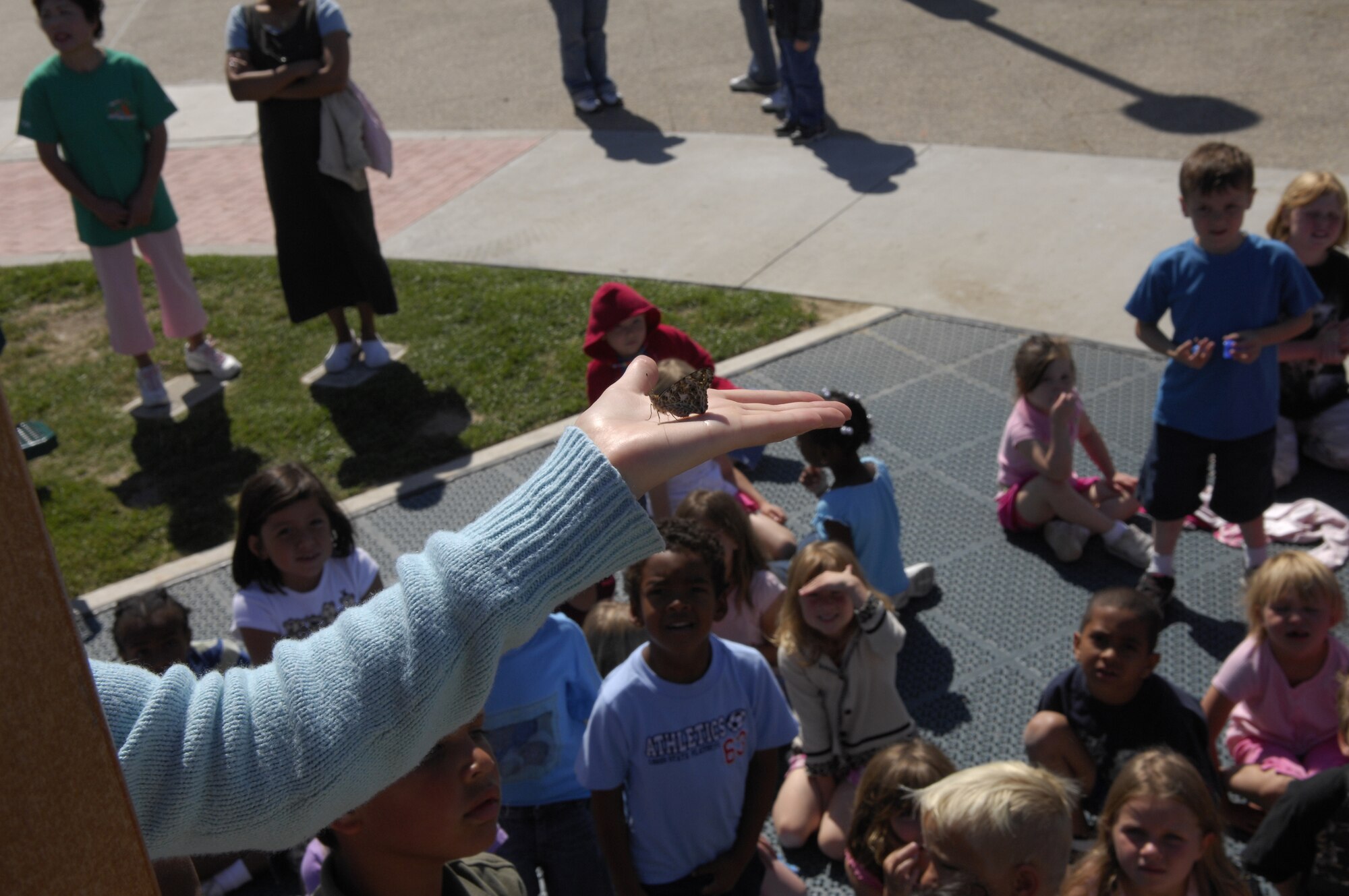 VANDENBERG AIR FORCE BASE, Calif. -- Vandenberg Youth Center students and faculty release painted lady butterflies June 29 after being grown from a crystalisis stage as part of a summer science project. (U.S. Air Force photo/Staff Sgt. Samuel Bendet)