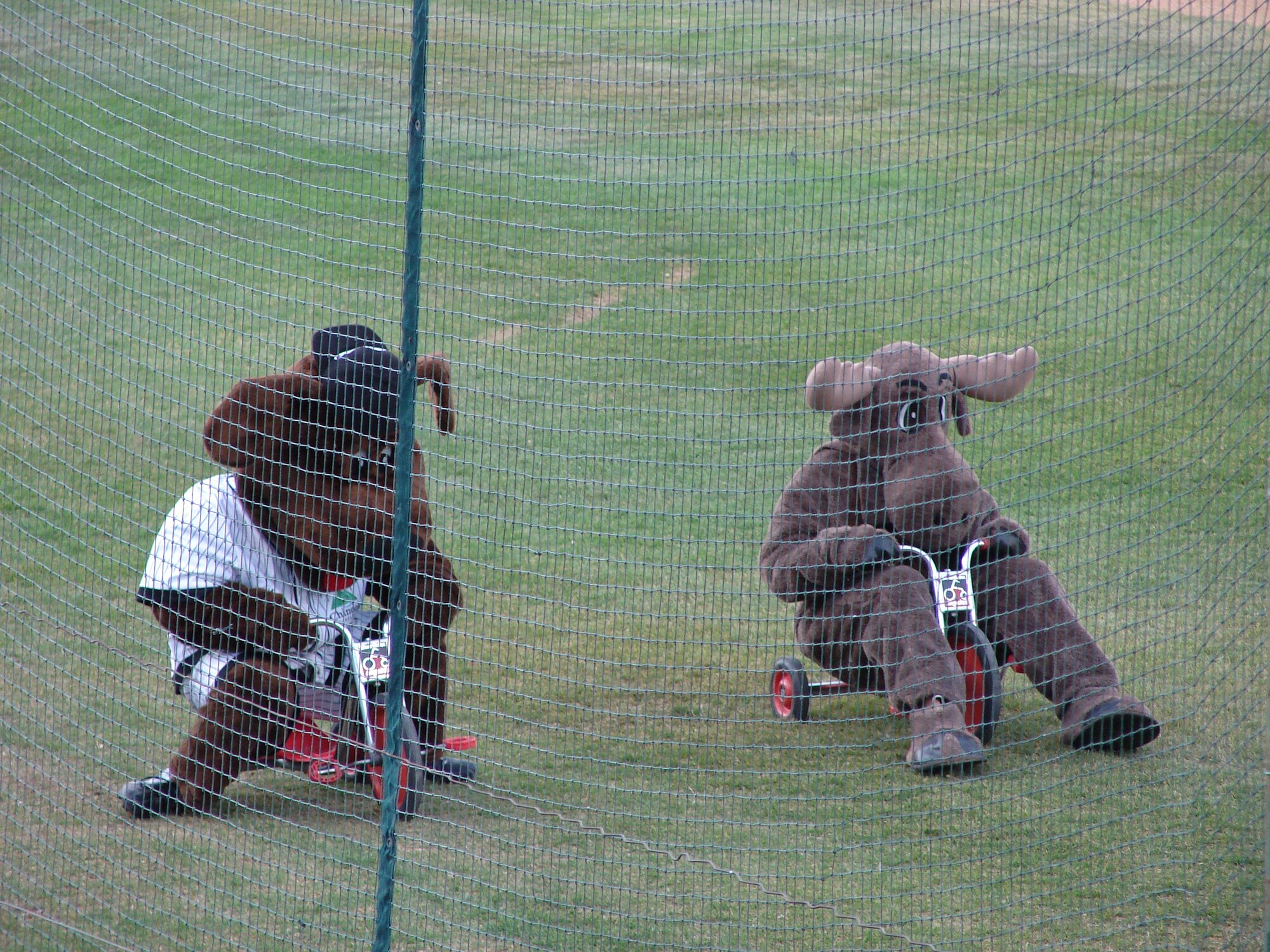 Great Falls White Sox mascot Boomer and 341st Services Squadron mascot Mel the Moose entertain the crowd during a break in the baseball action. (U.S. Air Force photo / JoAnn Gogo)