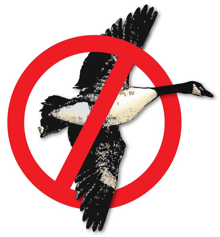 An illustration of a goose in flight with the "not allowed" red circle and bar going around it. (by Sammie W. King)