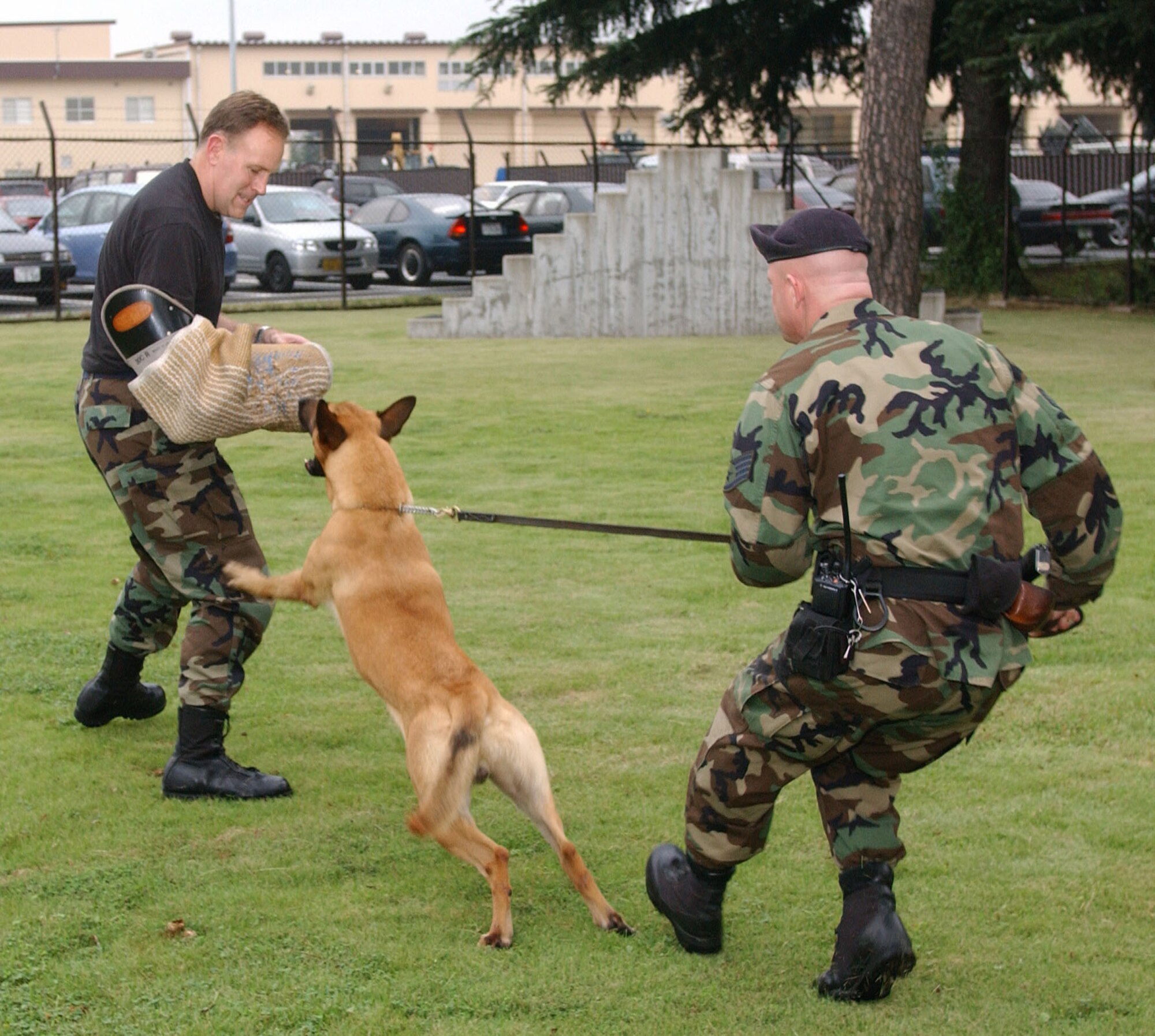 Col. Scott Goodwin, 374th Airlift Wing commander, participates in a 374th Security Forces Squadron K-9 simulated training scenario. Colonel Goodwin will relinquish command of the 374 AW Thursday at 9 a.m. at Hangar 15. (Courtesy photo)                             