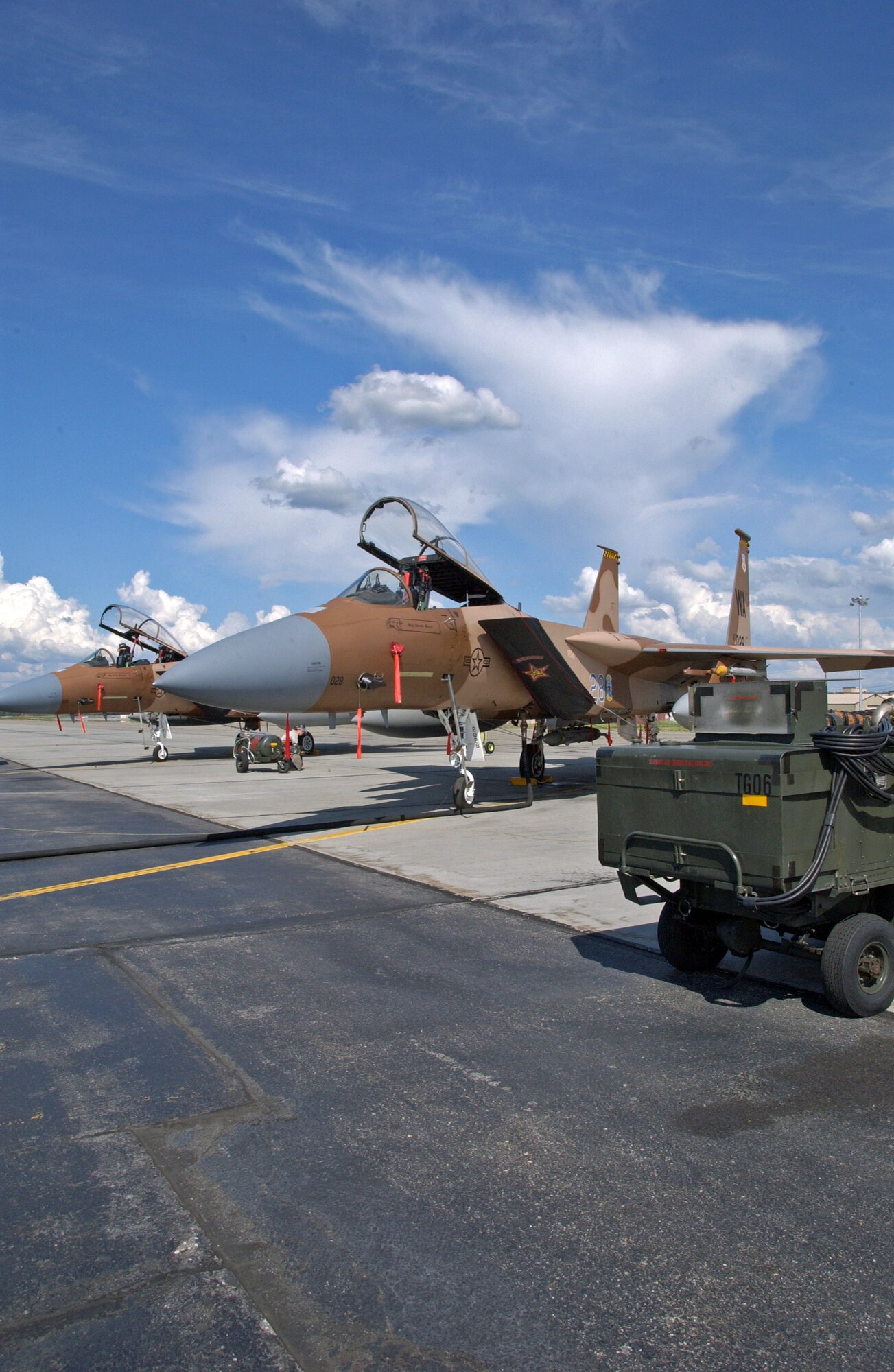 F-15 Eagles from the 65th Aggressor Squadron at Nellis Air Force Base, Nev., sit parked on the Eielson AFB, Alaska, flight line July 9.  The 65th AGS is taking part in Red Flag-Alaska 07-3, a multi-service, multi-platform coordinated, combat operations exercise, which runs through the July 27. (U.S. Air Force photo/Airman 1st Class Christopher Griffin) 