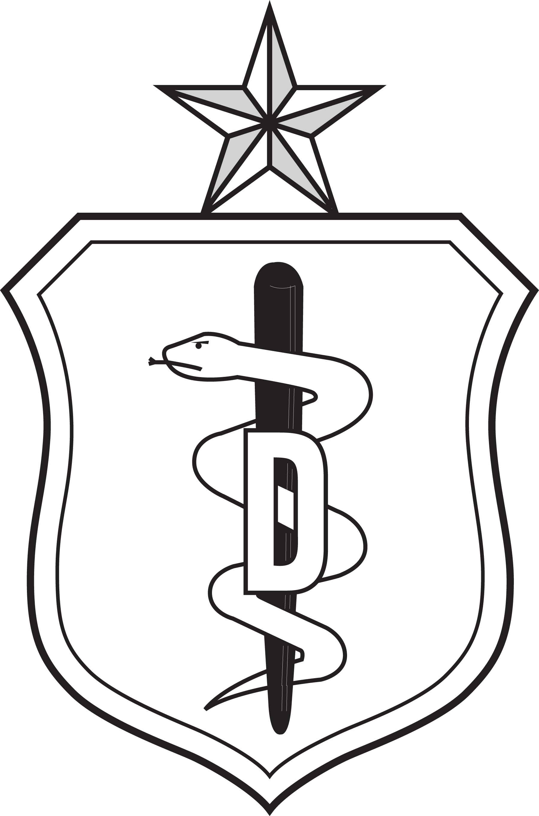 Dental BadgeSenior