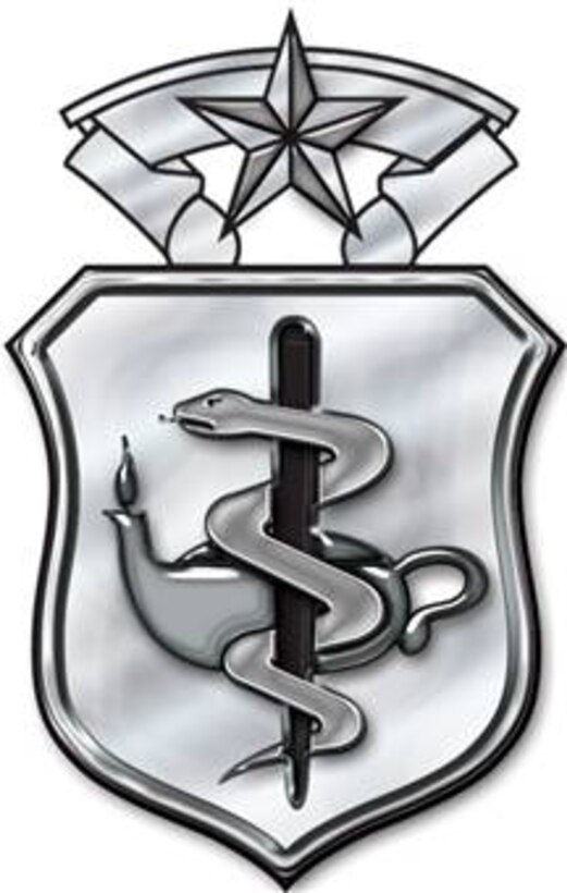 Nurse Corps Badge-Master Level, stylized badge (b/w), U.S. Air Force graphic 