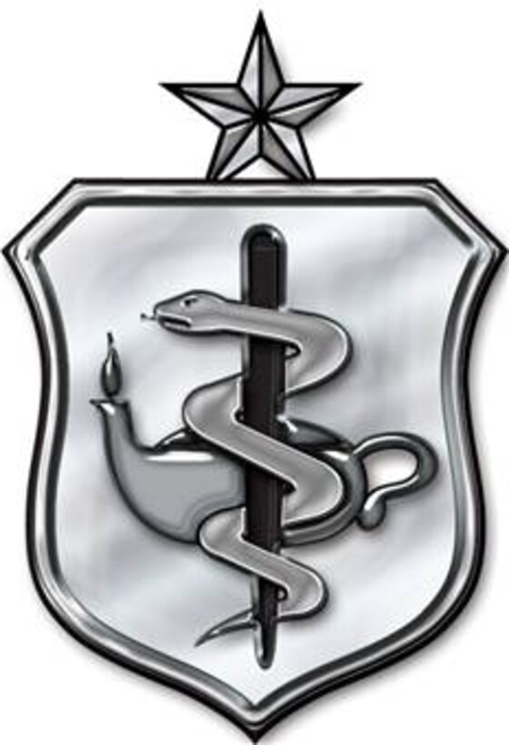 Nurse Corps Badge-Senior Level, stylized badge (b/w), U.S. Air Force graphic 