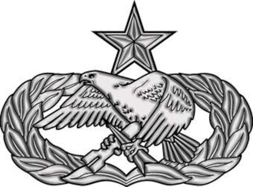 Air Force Security Forces Abu Badge