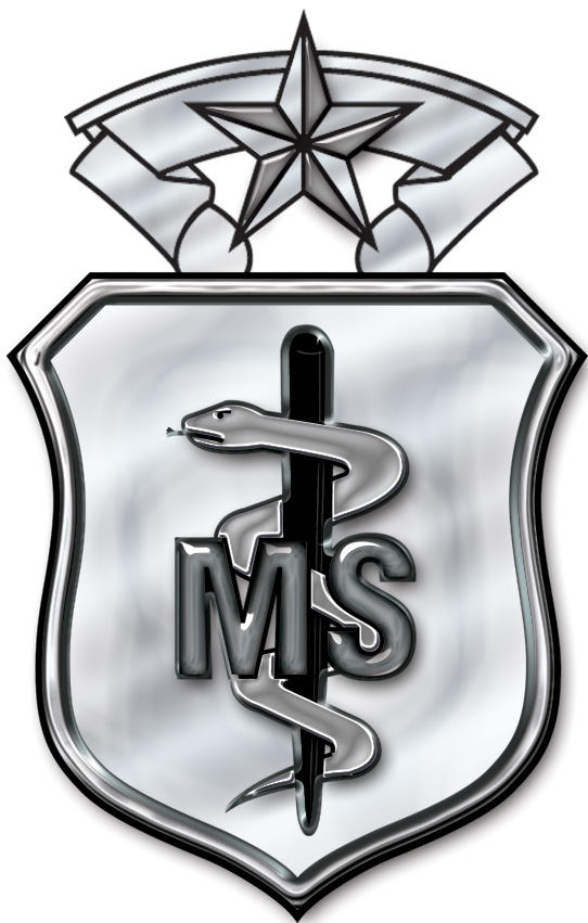 Medical Services Corps BadgeMaster Level