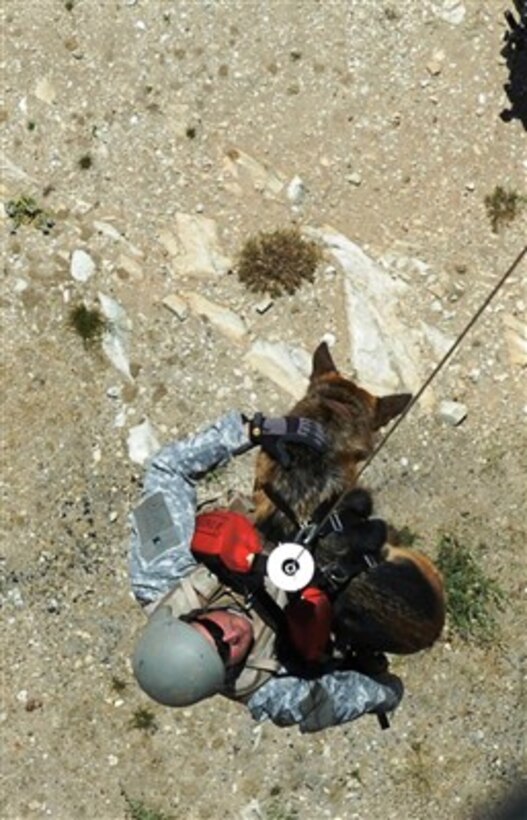 U.S. Army Staff Sgt. David Hornsby and his special security dog Liza are hoisted into a helicopter during a canine-hoist training mission outside of Bagram Airfield, Afghanistan, on July 15, 2007.  Hornsby and Liza are attached to the101st Air Assault Division.  