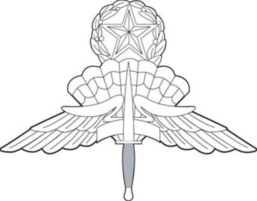 High Altitude Low Opening Halo Master Badge