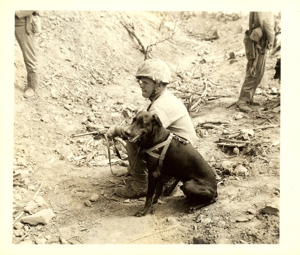A Marine K-9 team stands by