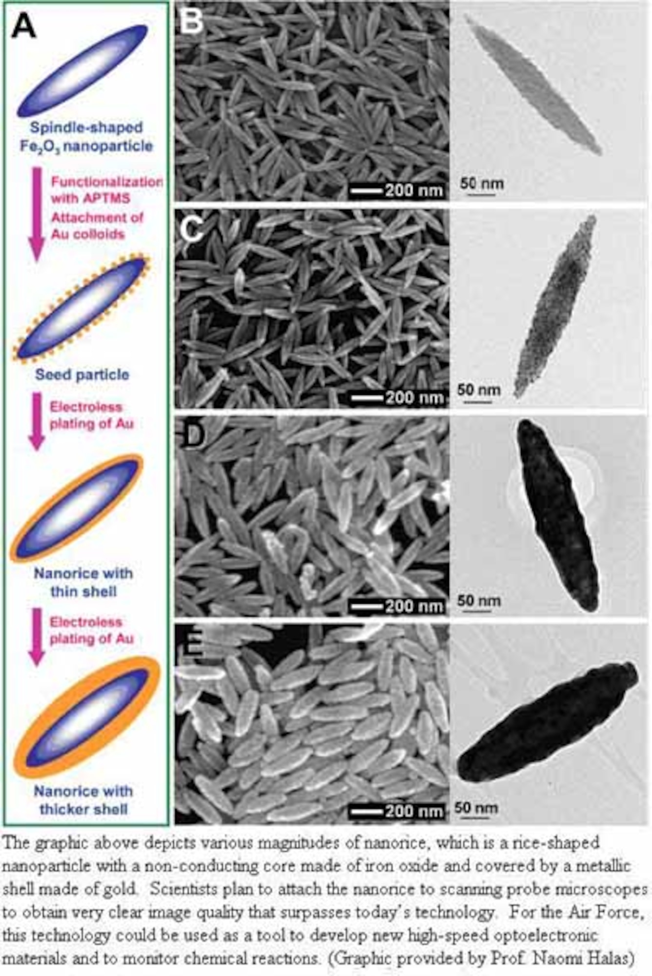 The graphic above depicts various nanorice, which is a rice-shaped nanoparticle with a non-conducting core made of iron oxide and covered by a metallic shell made of gold. Scientist plan to attach the nanorice to scanning probe microscopes to obtain very clear image quality that surpasses today's technolgoy. For the Air Force, this technilogy could be used as a tool to develop new high-speed optoelectronic materials and to monitor chemical reactions.