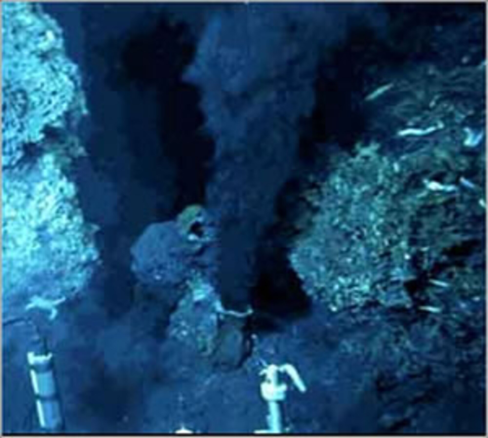 The photo shows hydrothermal vents in the ocean where life has been shown to grow at temperatures exceeding 100 degrees Celsius. The team of Dr. Frank Robb is studying organisms that thrive in such conditions, with the goal of understanding hhow to make biological materials more robust in the face of extreme temperature. AFOSR is funding Robb’s work through its biophysical mechanisms research portfolio. Robb works at the Center of Marine Biotechnology, University of Maryland Biotechnology Institute. 