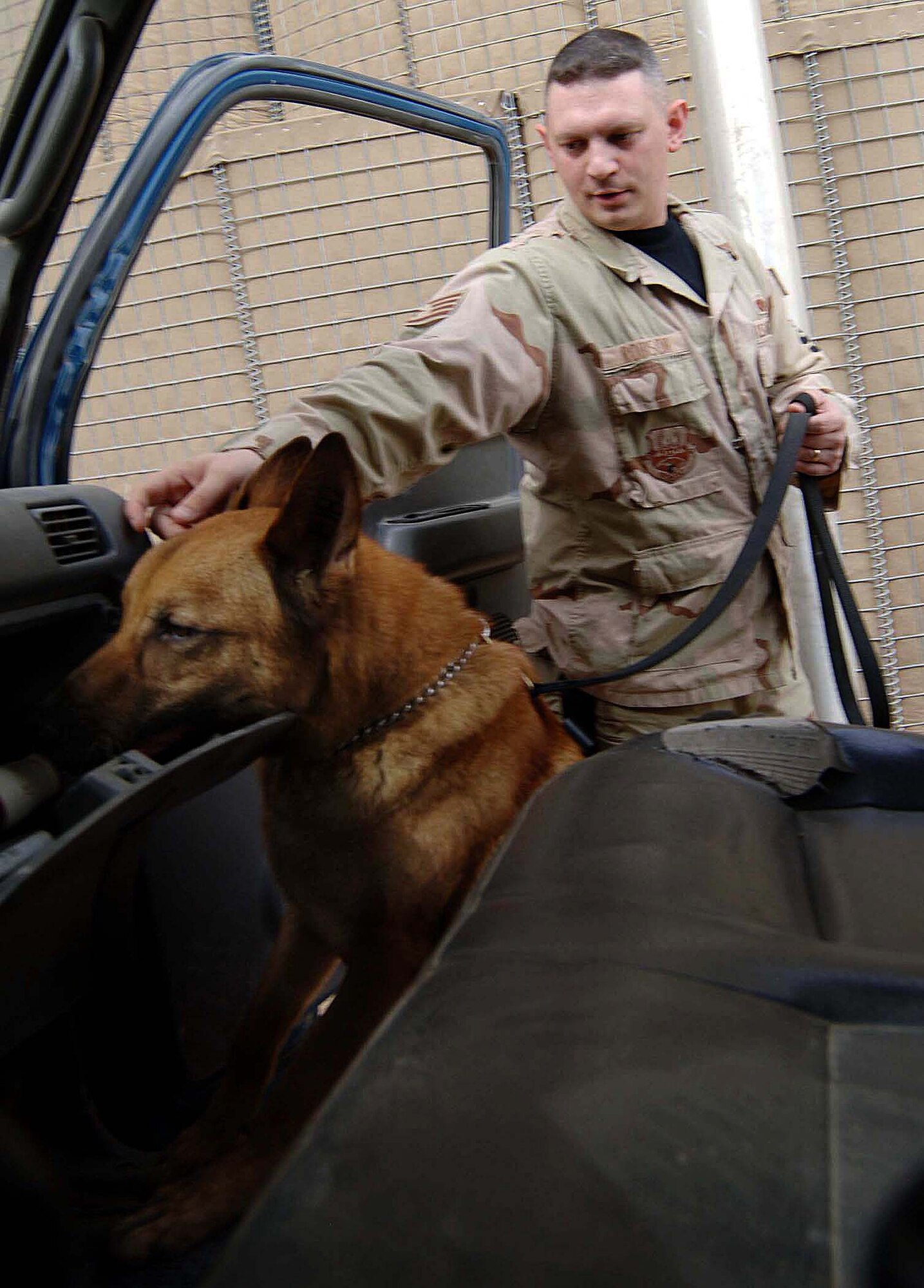 Staff Sgt. Jeremy Robison and his military working dog, Zorro, inspect a vehicle for explosives and contraband at the search pit at Sather Air Base, Iraq. The pit processes more than 600 vehicles and 2,000 people a week. Sergeant Robison and Zorro are with the 447th Expeditionary Security Forces Squadron. (U.S. Air Force photo/Tech. Sgt. Russell Wicke) 