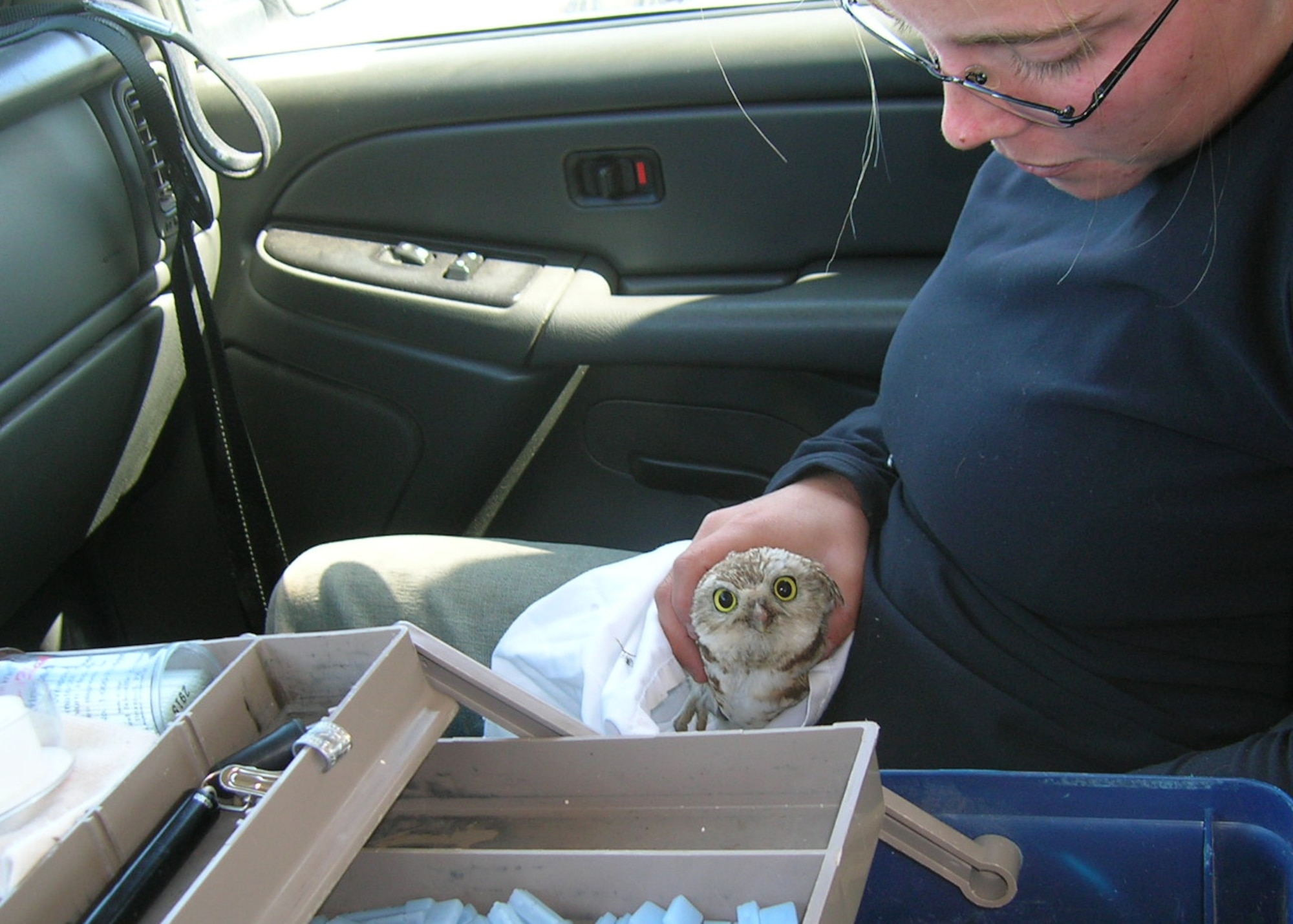 MOUNTAIN HOME AIR FORCE BASE, Idaho -- Stacey Hollis, a biological technician from the University of Arizona, prepares to band a burrowing owl caught here April 26. In its third year, Mountain Home was selected along with 29 other military installations to take part in a research study on burrowing owls. As their range and numbers decrease, researchers are taking an active role to better understand what is happening to the diminishing species. (U.S. Air Force photo/Carl Rudeen) 