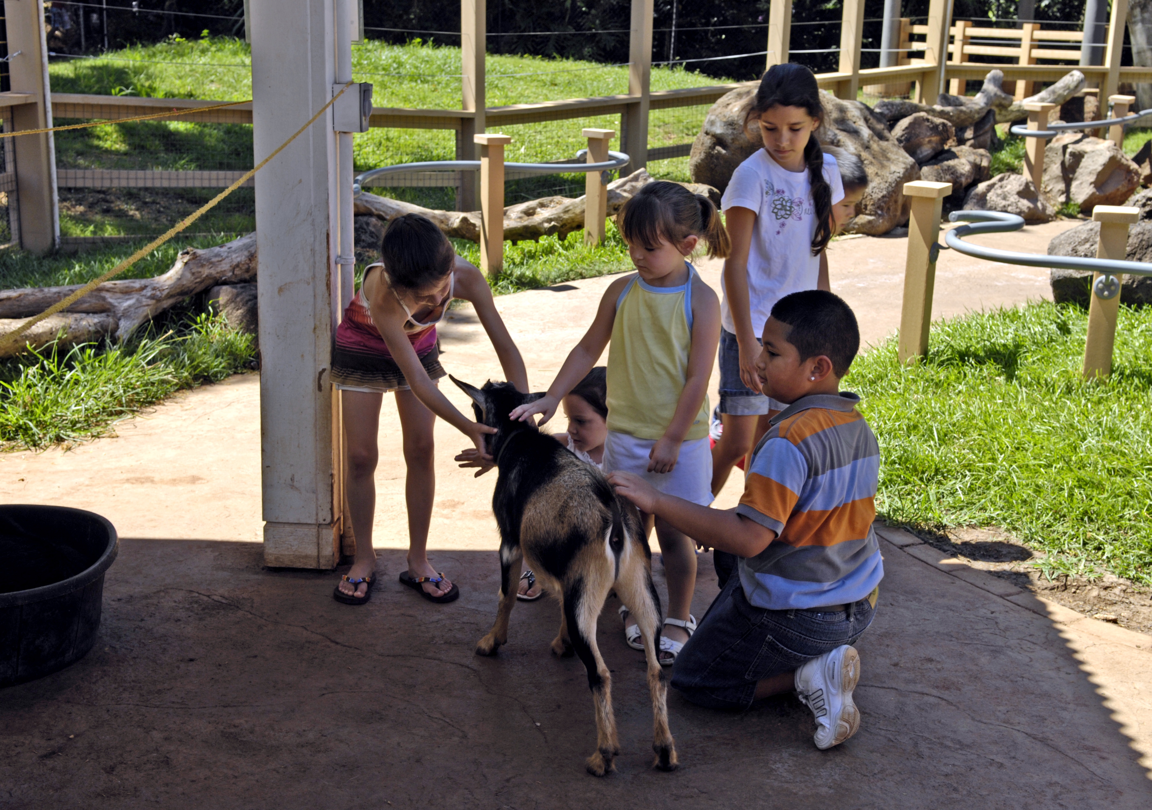 Honolulu Honors Military Families > Pacific Air Forces > Article Display