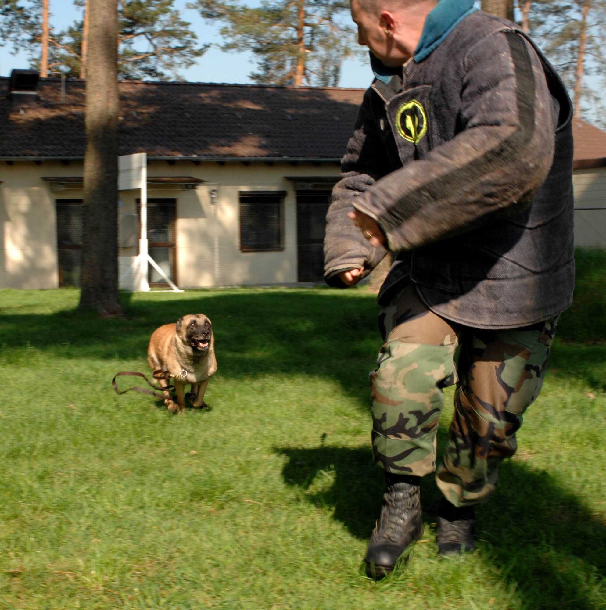 SPANGDAHLEM AIR BASE, GERMANY -- Staff Sgt. Mitchell Stein, 52nd Security Forces military working dog handler, is chased by Laika, a Belgian Malinois MWD, during an aggressive training exercise, here May 22, 2007. The training is designed to prepare the dog for any situation they may face in the field. (U.S. Air Force photo/Airman 1st Class Stephanie Clark) 