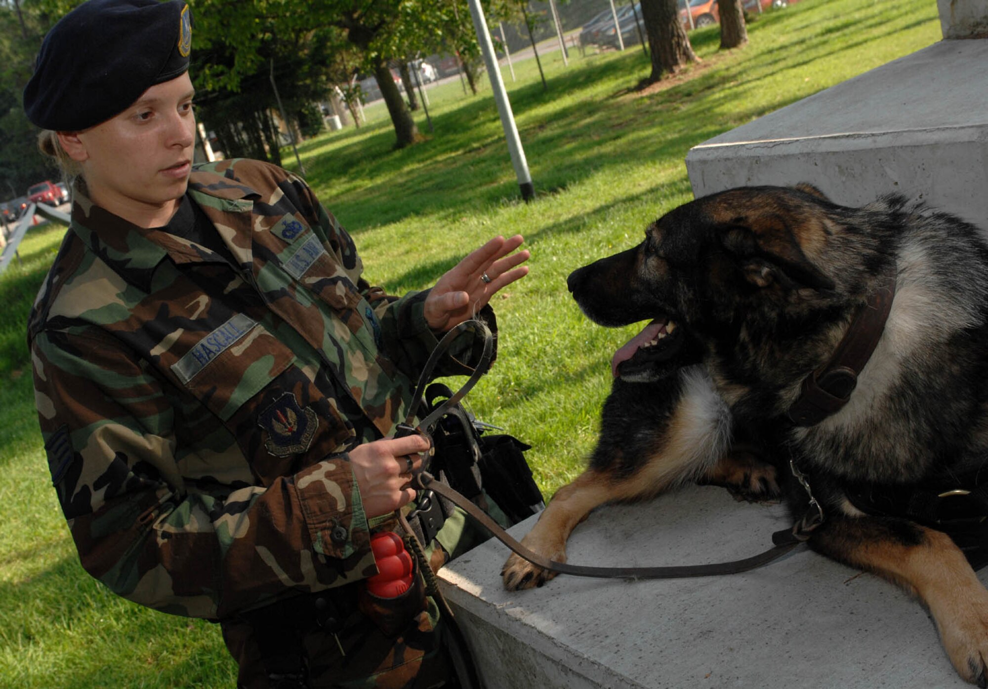 SPANGDAHLEM AIR BASE, GERMANY -- Staff Sgt. Patricia Hascall, 52nd Security Forces military working dog handler, trains MWD Agar, a German Sheppard, here May 22, 2007. German Shepherds are also often trained as police dogs, due to their trainability, size, work drive and appearance. (U.S. Air Force photo/Airman 1st Class Stephanie Clark) 