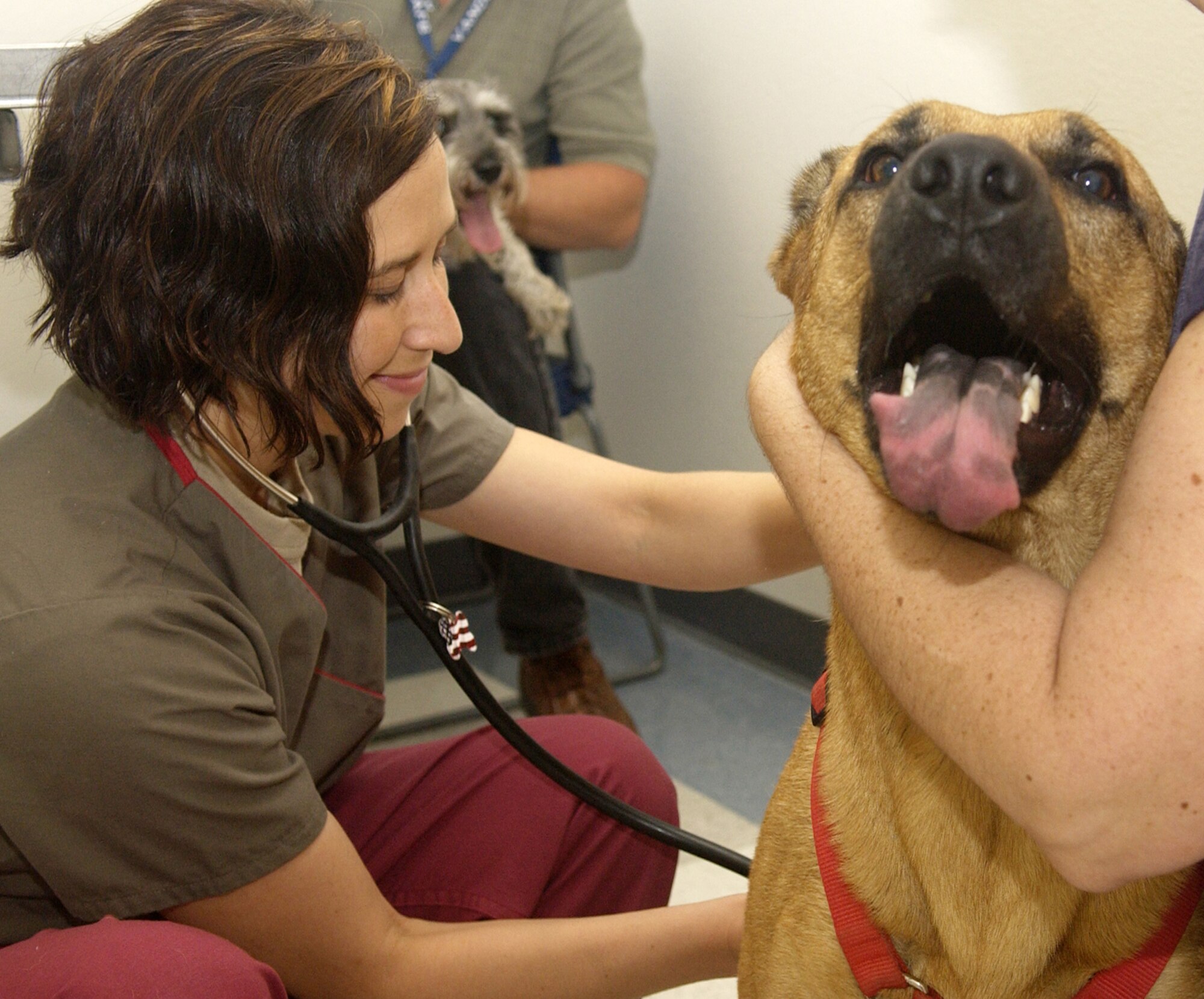 Army Capt. Monique Vanden-Heuvel, a veterinarian, listens to the heart beat of Bullwinkle during an annual check up at the Vandenberg Veterinary Clinic April 5. The office offers minimal clinical services June 11, 12, 25 and 26, including vaccinations, heartworm tests and pet locator microchipping for military cats and dogs.  For more information or to make an appointment, call 606-3019. (U.S. Air Force photo by Airman 1st Class Matthew Plew)