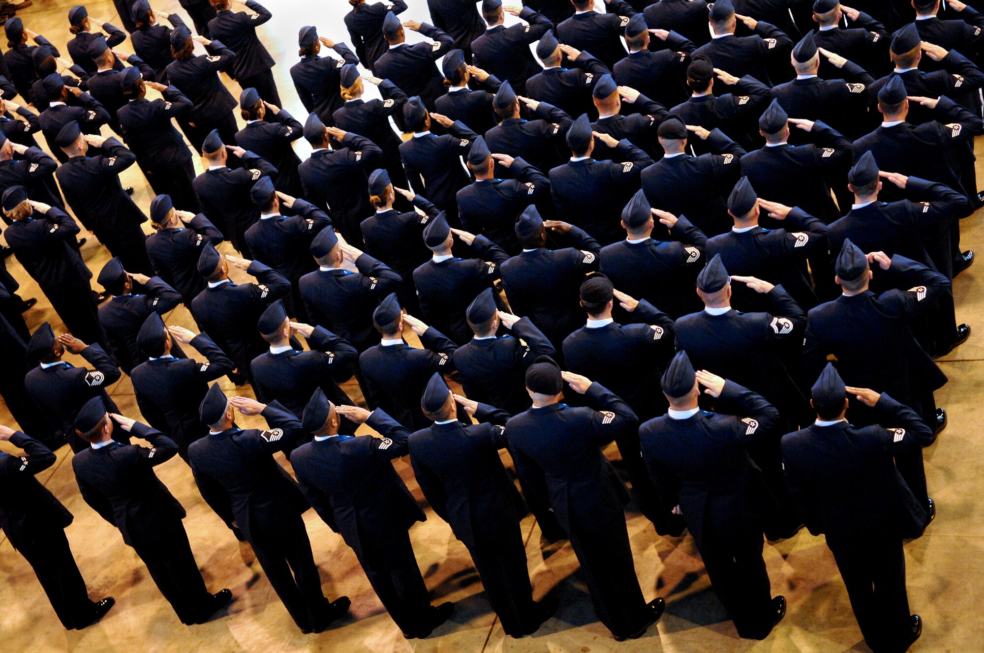 Members of the 31st FW salute as the Italian and American national anthems are played during the change of command ceremony.
 (U.S. Air Force photo by Staff Sgt. Bethann Caporaletti)