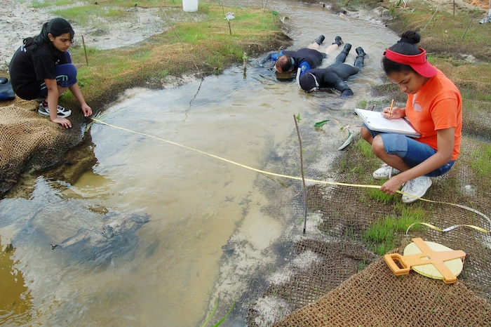 EGLIN AIR FORCE BASE, Fla. -- Seven students from the Young Women's Leadership School in Harlem, N.Y., assisted in various aspects of the Mill Creek stream restoration project at Eglin Air Force Base, Fla., in April. The students planted vegetation, measured the width of the stream and depicted the stream's features on grid paper. (U.S. Air Force photo by Jerron Barnett)