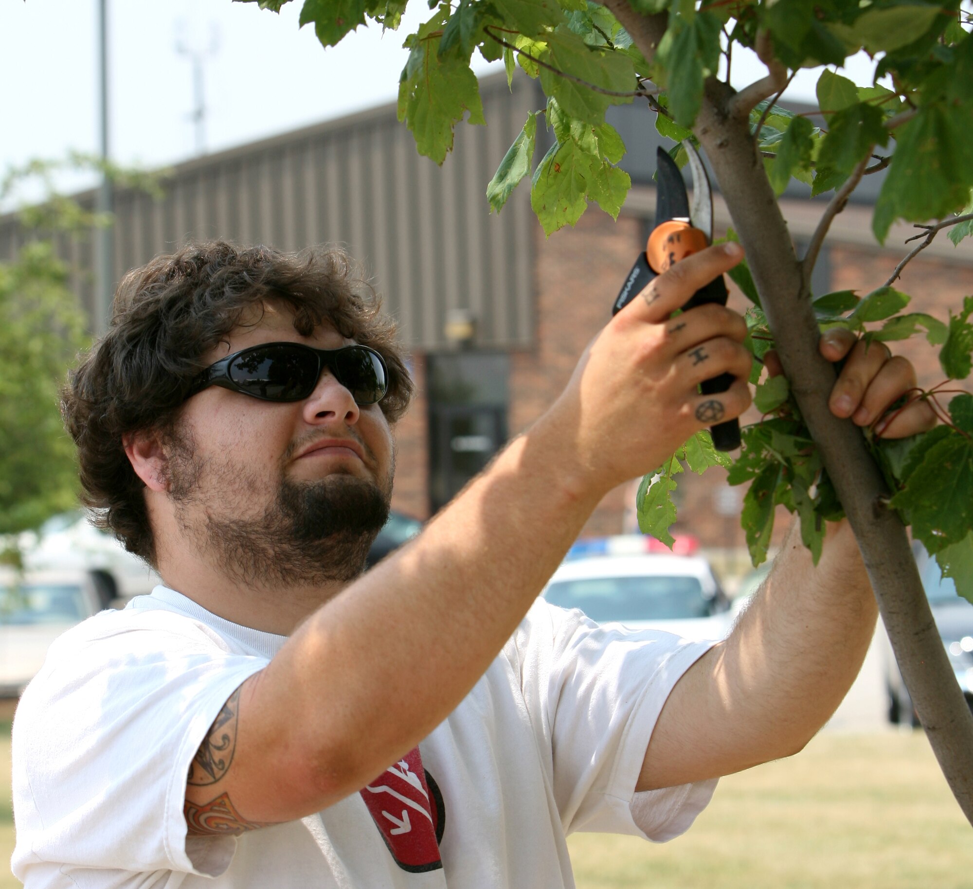 GRISSOM AIR RESERVE BASE, Ind. -- David Krum, a grounds maintainer, prunes one of the many trees at Grissom Air Reserve Base in order to maintain their health and appearance. Along with receiving many Department of Defense awards for environmental excellence, Grissom has been designated a "Tree City" by the National Arbor Day Foundation. (U.S. Air Force photo/Senior Airman Omar Delacruz)