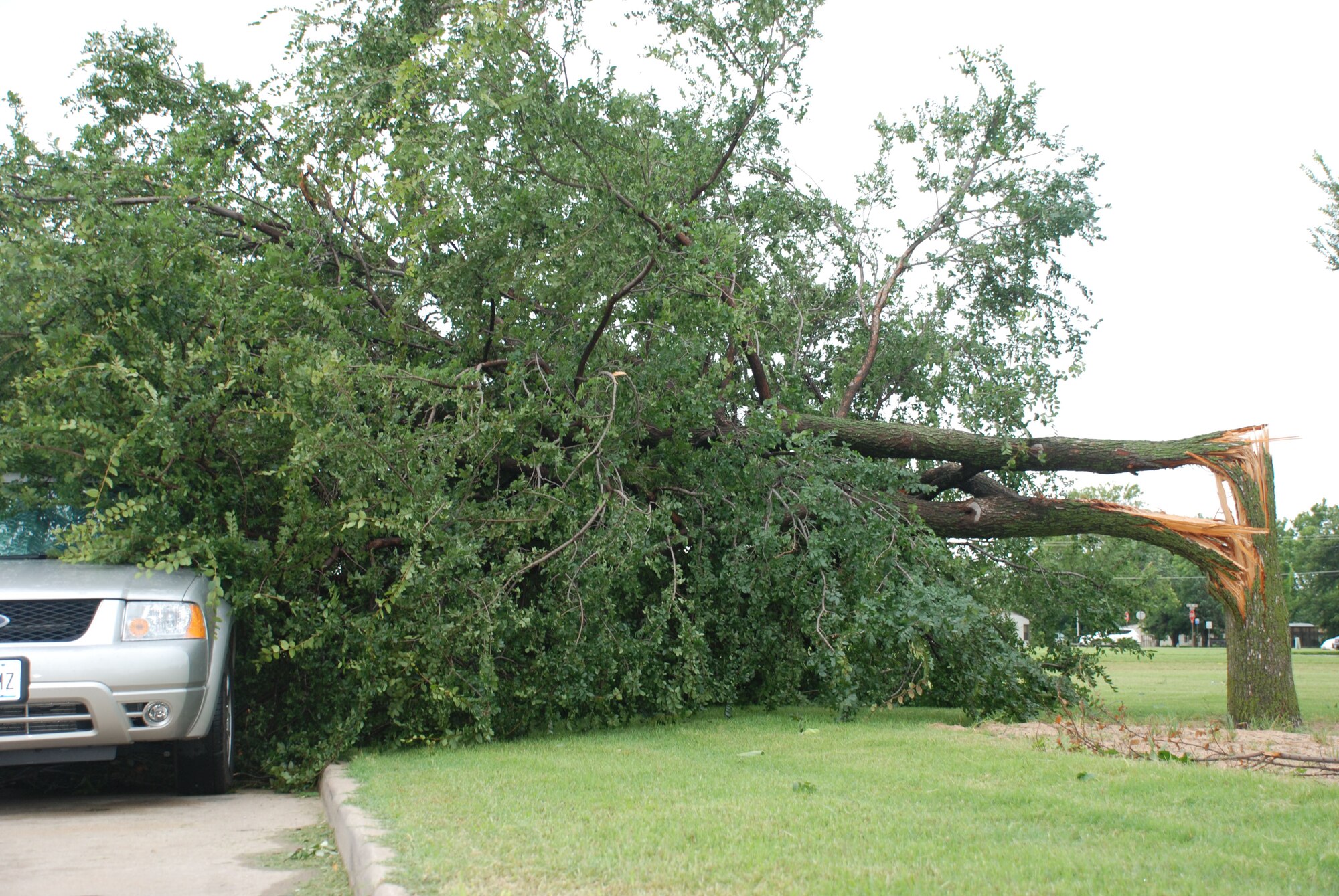 A fallen tree sits on a vehicle outside Sheppard Lodging June 20. The 82nd Civil Engineer Squadron, Sheppard fire and rescue services and 82nd Security Forces Squadron raced into action after thunderstorms assaulted Sheppard with 85 mph winds. Electricity was knocked out across base, but was quickly restored. (U.S. Air Force photo/Airman 1st Class Jacob Corbin)