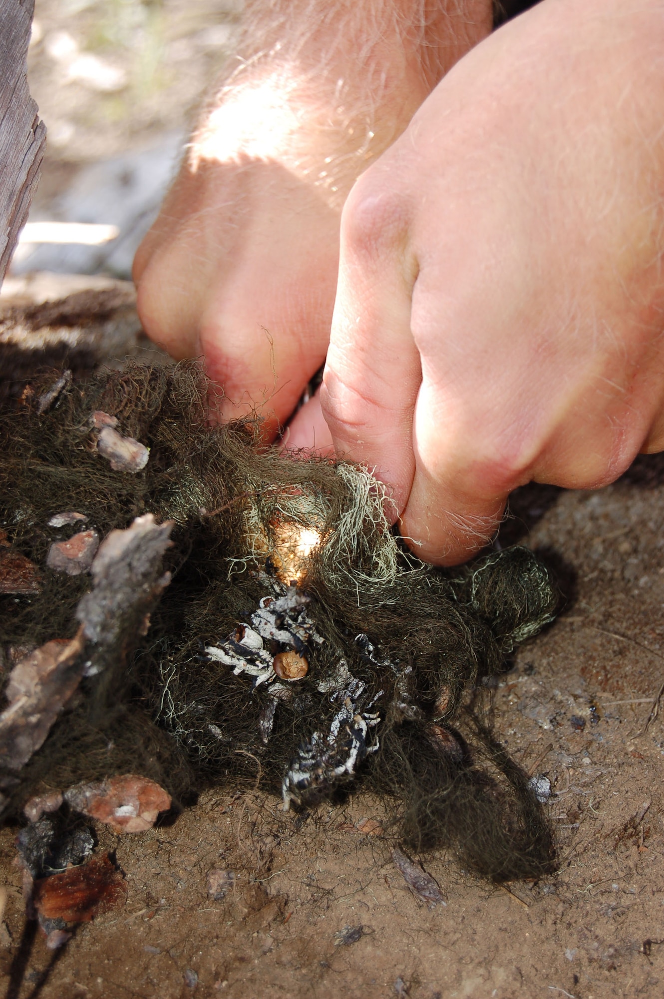 A tiny spark catches in the center of a pile of tinder for Staff Sgt. Steven Raethel June 11 during the 2007 SERE (survival, evasion, resistance and escape) Challenge. The competition is intended to foster camaraderie while testing essential survival and combat skills, the competition featured 15 two-man teams representing the Air Force's Guardian Angel weapons system. Guardian Angel is comprised of survival, evasion, resistance, escape specialists; pararescuemen; and combat rescue officers. (U.S. Air Force photo/Tech. Sgt. Mike Hammond)